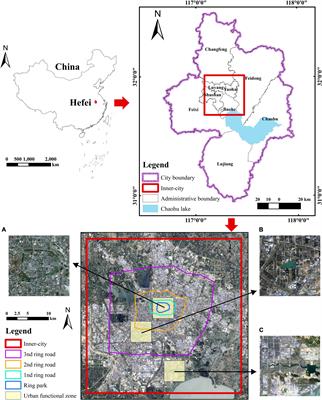 Multiscale spatiotemporal dynamics analysis of urban green space: Implications for green space planning in the rapid urbanizing Hefei City, China